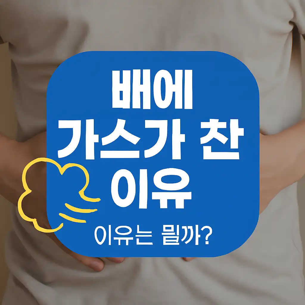 배에-가스가-차는-이유