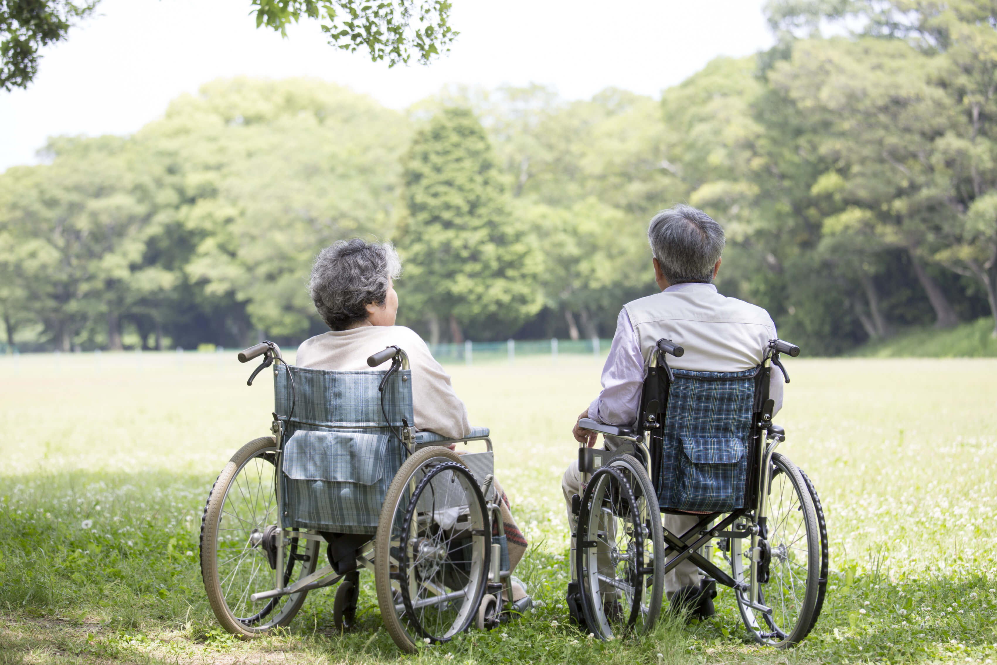 치매 VS 알츠하이머