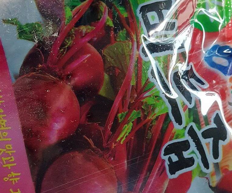 혈관에 좋은 음식 비트즙