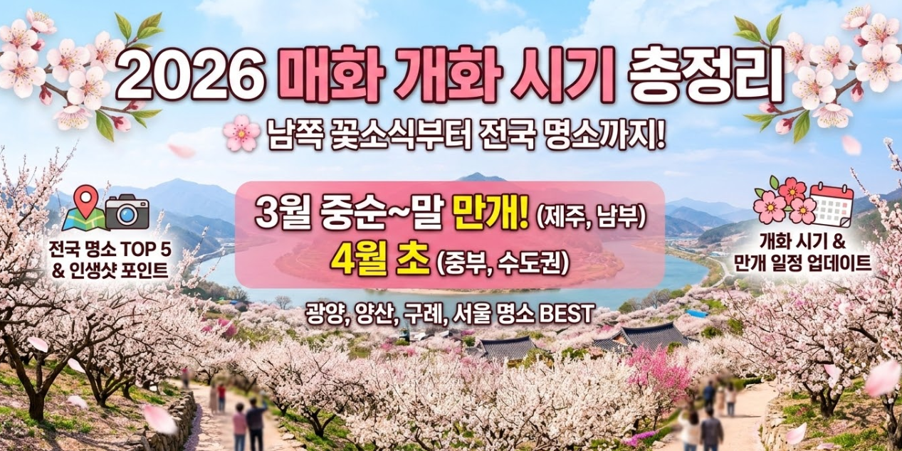 2026 매화 개화 시기 총정리