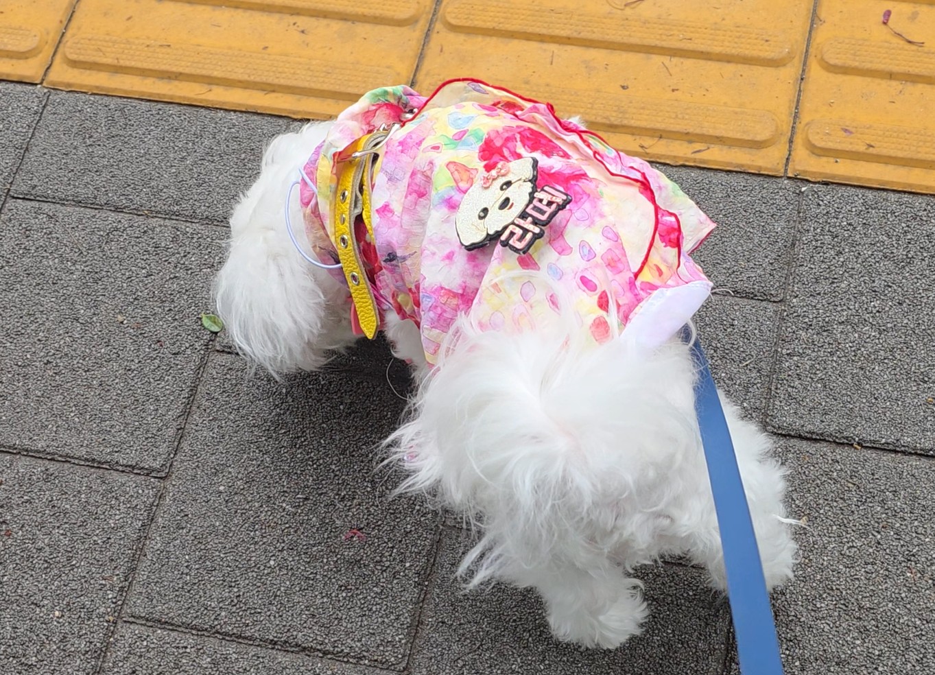 잠실 근처에서 산책중