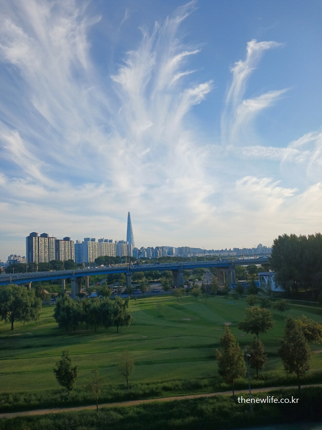 광진교에서 내려다본 광나루 한강공원 전경 – 넓은 잔디밭과 롯데타워가 어우러진 서울 풍경