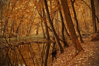 주왕산 단풍 시기 및 추천 코스