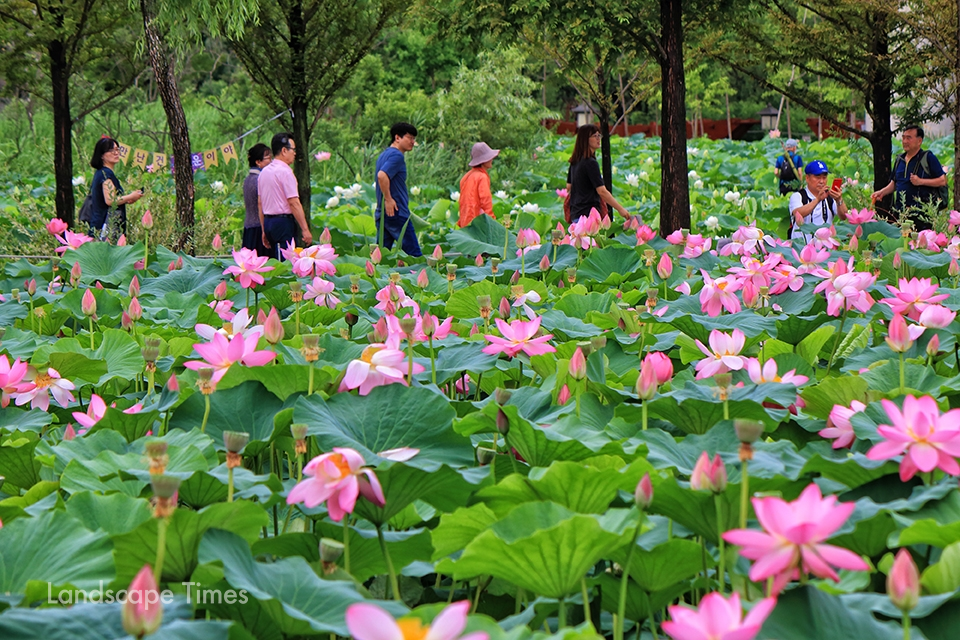 10월 데이트 여행지 세미원