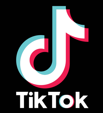 틱톡-개인정보-유출