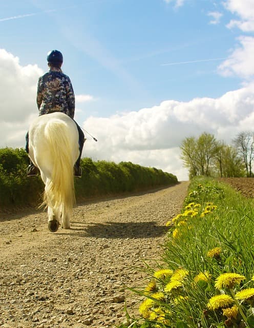 도시를 떠나 찾은 평온: 전원생활 준비 과정 공유