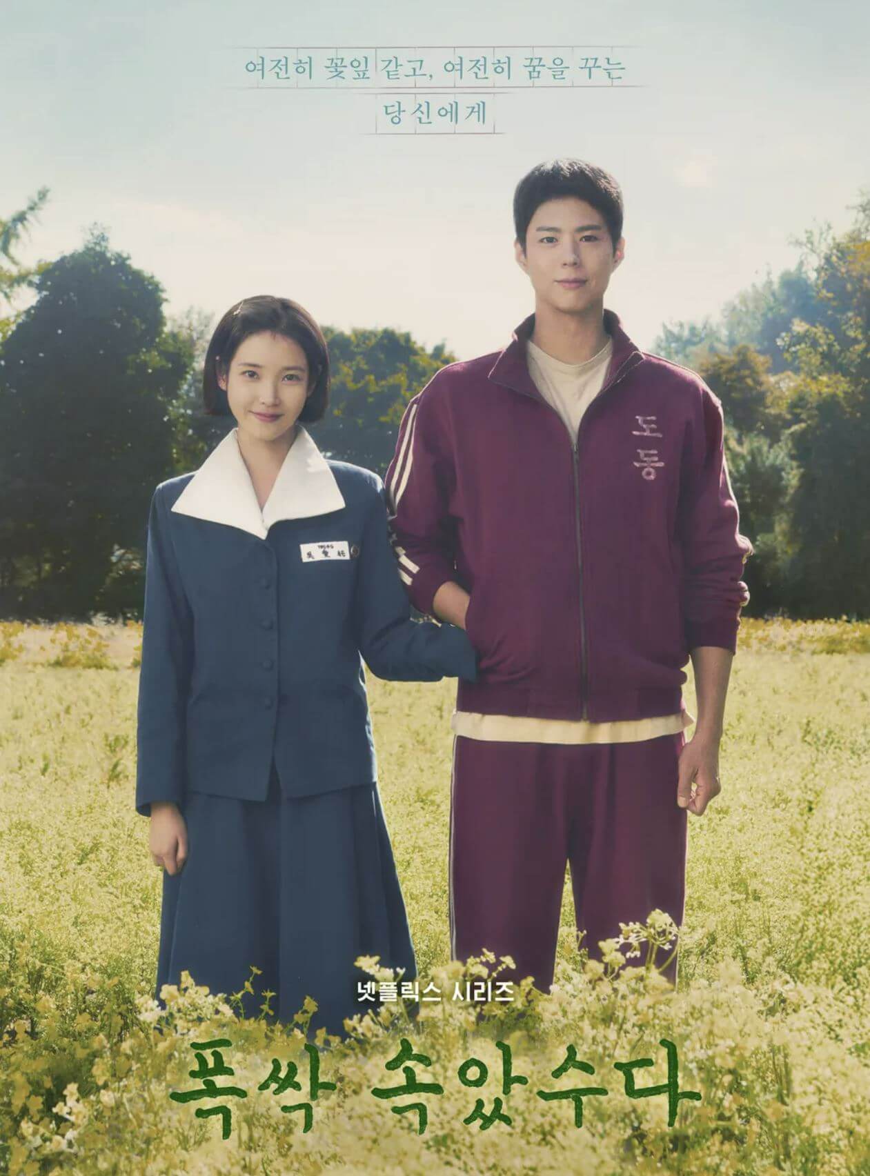 폭싹 속았수다 포스터