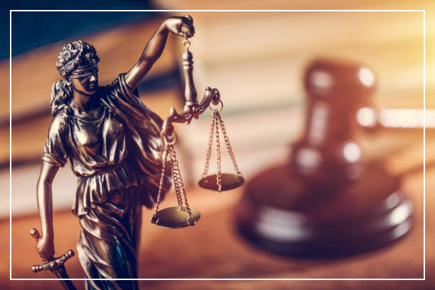 사설 구급차 응급의료에 관한 법률