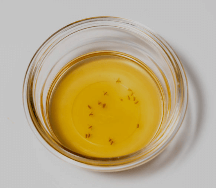 초파리 없애는 방법