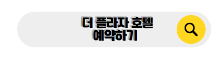 뉴욕 신혼여행