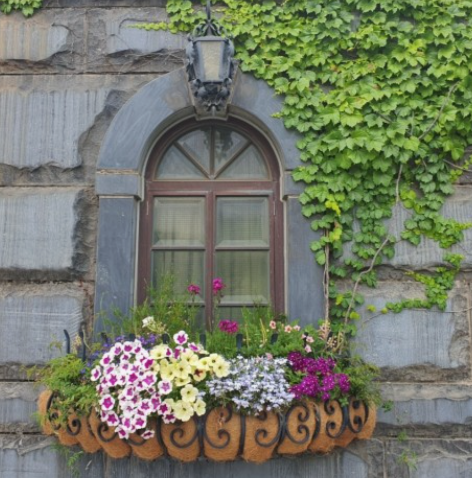 전세사기-피해자-피해-확인증