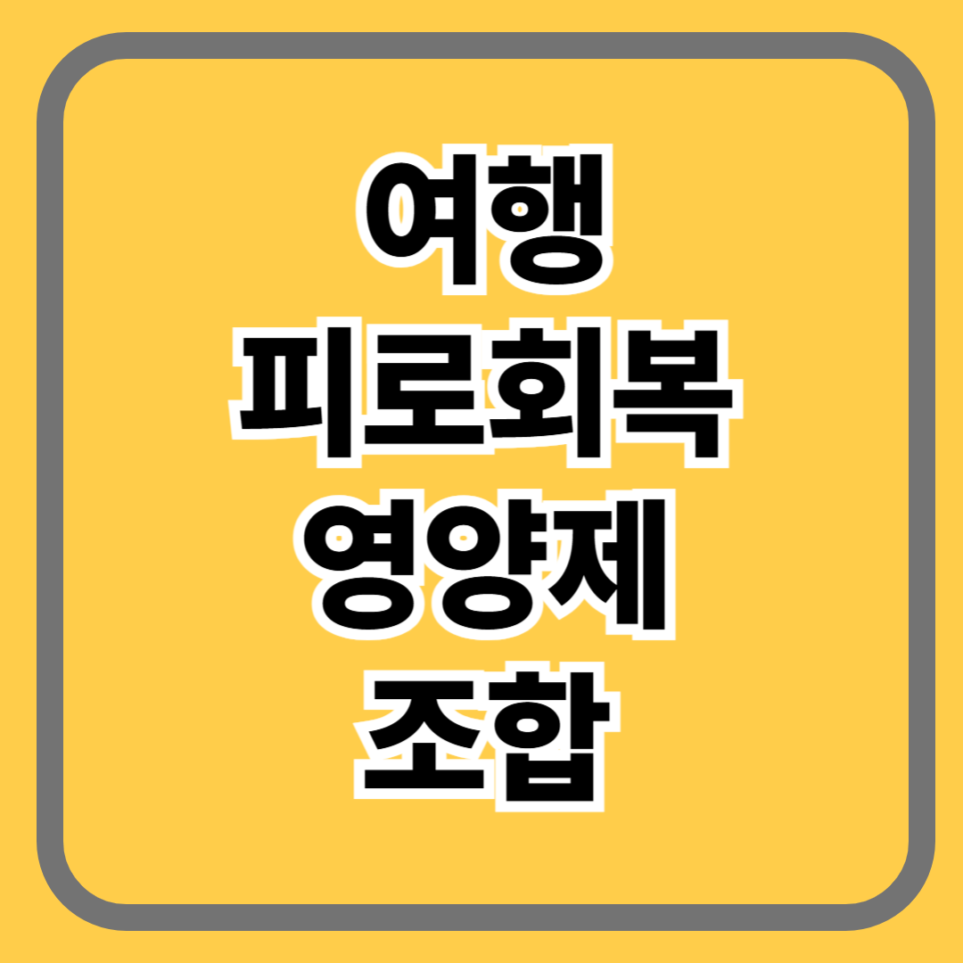 여행 피로회복 영양제 조합