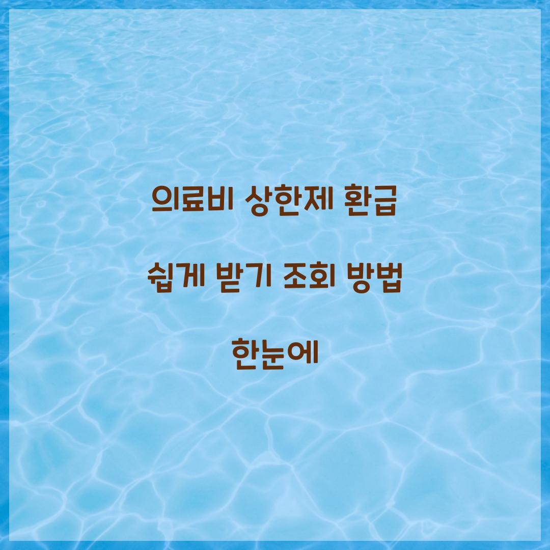 의료비 상한제 환급