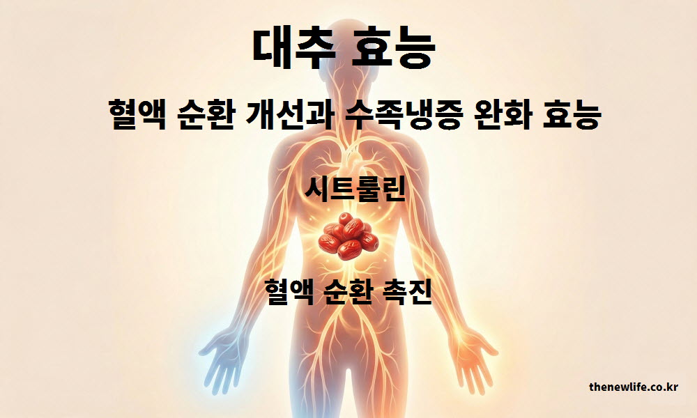 대추 효능의 혈액 순환 개선과 수족냉증 완화 효과를 설명하는 이미지로 몸을 따뜻하게 하고 혈관 흐름을 돕는 과정 표현
