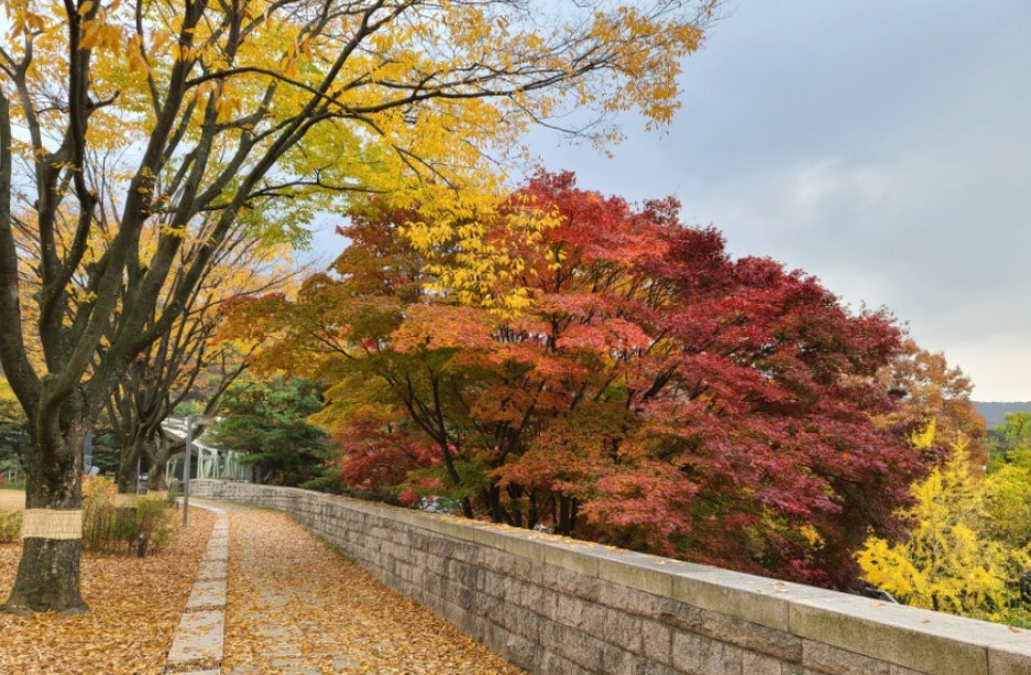 과천 서울대공원 둘레길