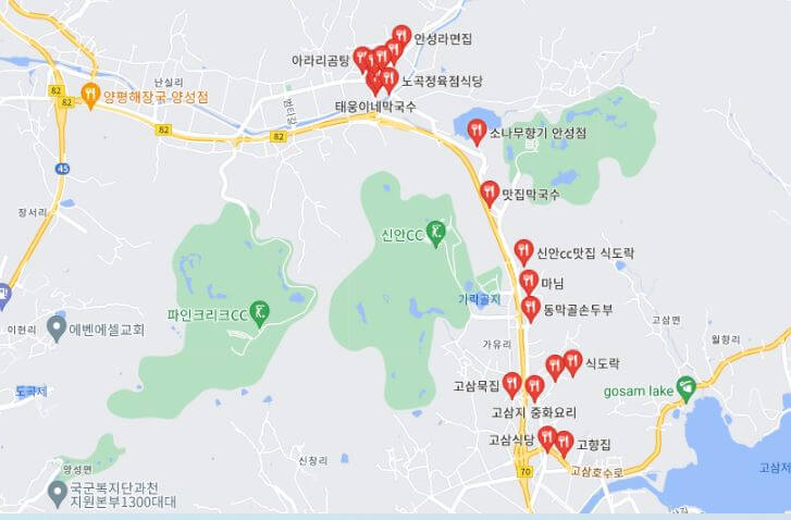 신안CC 근처 맛집 지도