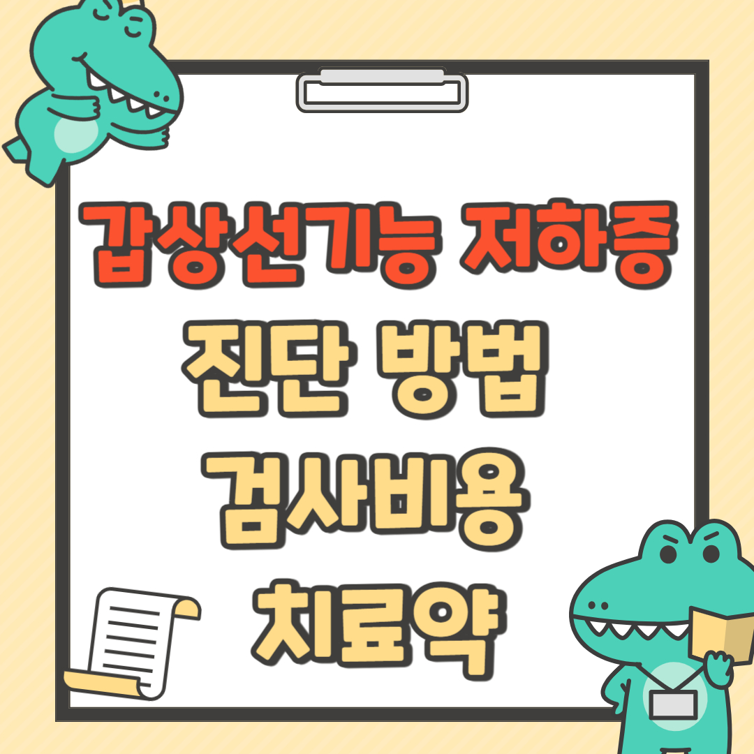 갑상선기능 저하증 진단 방법/ 검사비용 /치료약
