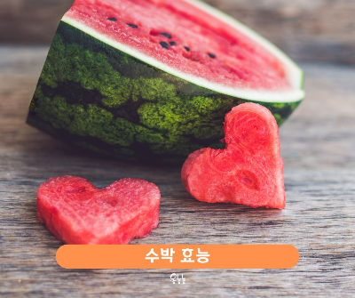 수박 효능