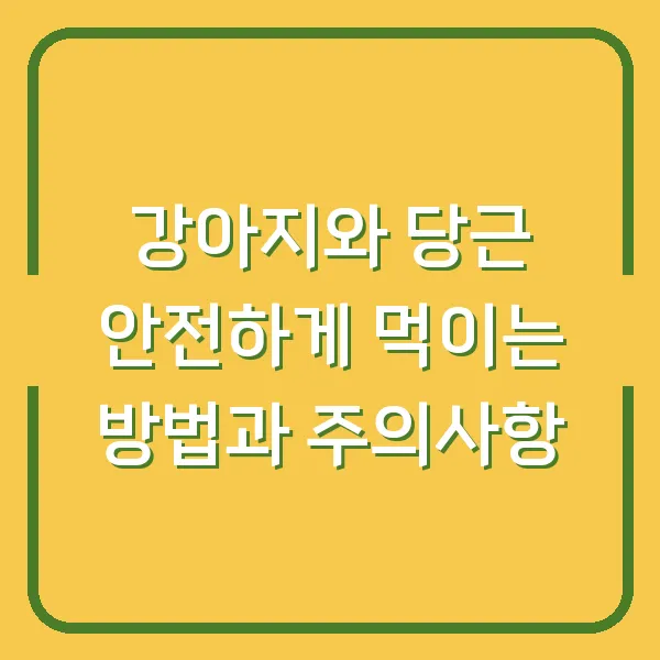 강아지와 당근 안전하게 먹이는 방법과 주의사항
