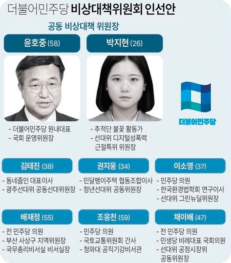 더불어 민주당 비대위 조직도 