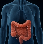 대장내시경 전 먹어도 되는음식