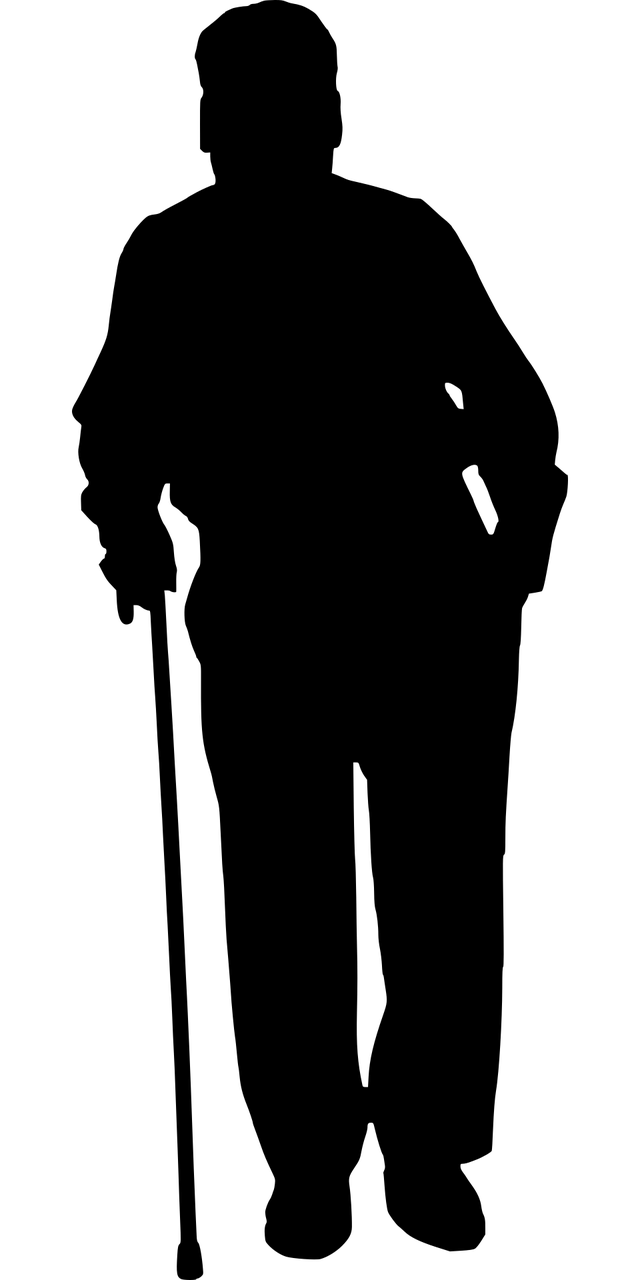 노화