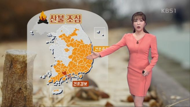 강아랑 기상캐스터 프로필 총정리｜나이 35세·KBS 퇴사 이유·수의사 남편·결혼·임신 발표·인스타그램