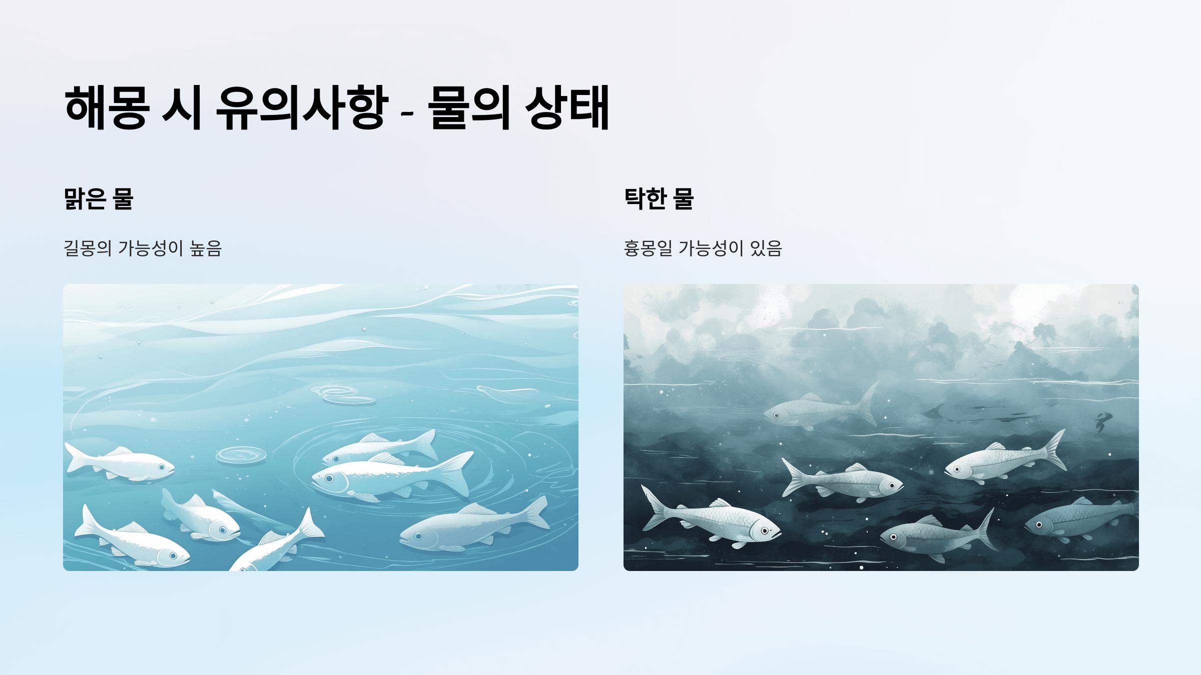 물고기 사진입니다.