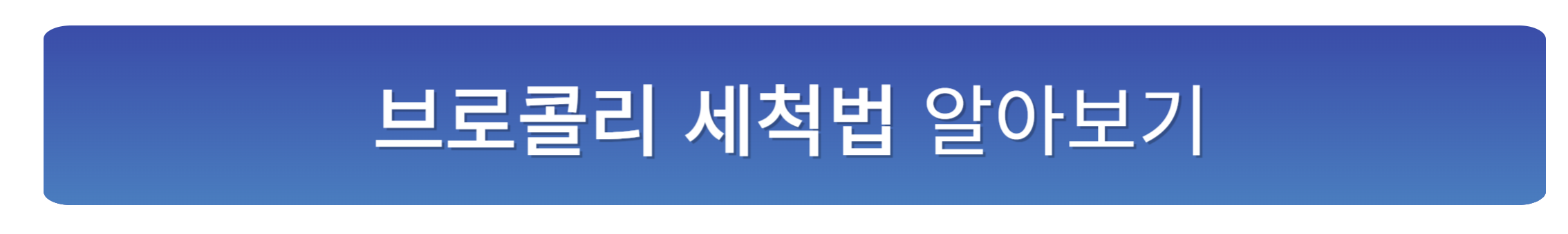 양배추즙 만들기, 간단 레시피