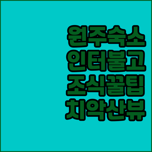 원주 호텔인터불고 조식 가격부터 치악..
