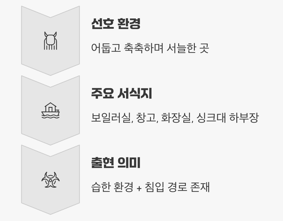 우리 집에 왜 들어왔을까?