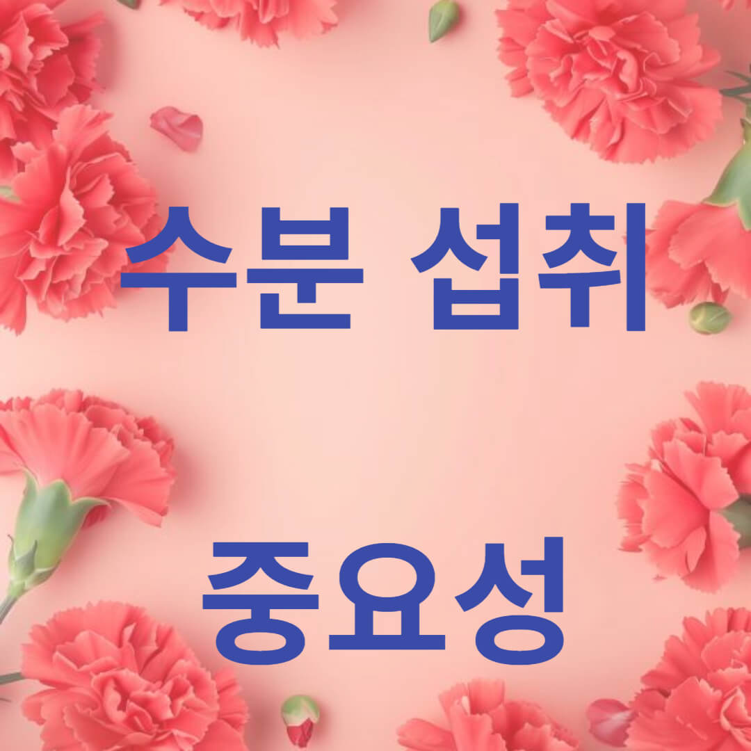 폐경기 수분 공급을 위한 영양식 썸네일