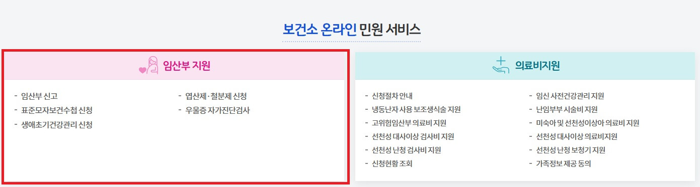 임산부 영양제 지원받는 법 (철분제,엽산제) 보건소이용팁