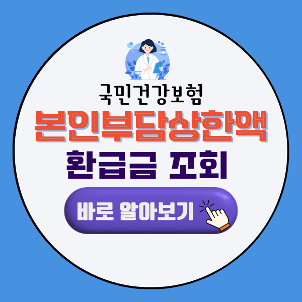 건강보험 본인부담상한액 환급금 조회