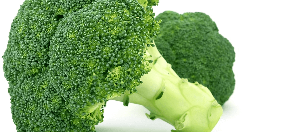 칼륨 많은 음식 사진 - 15