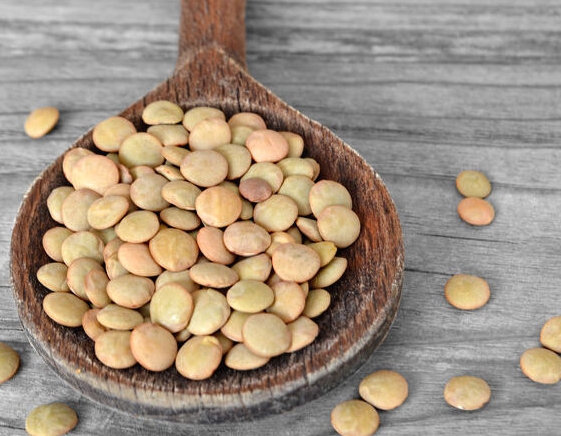 중성지방 낮추는 음식