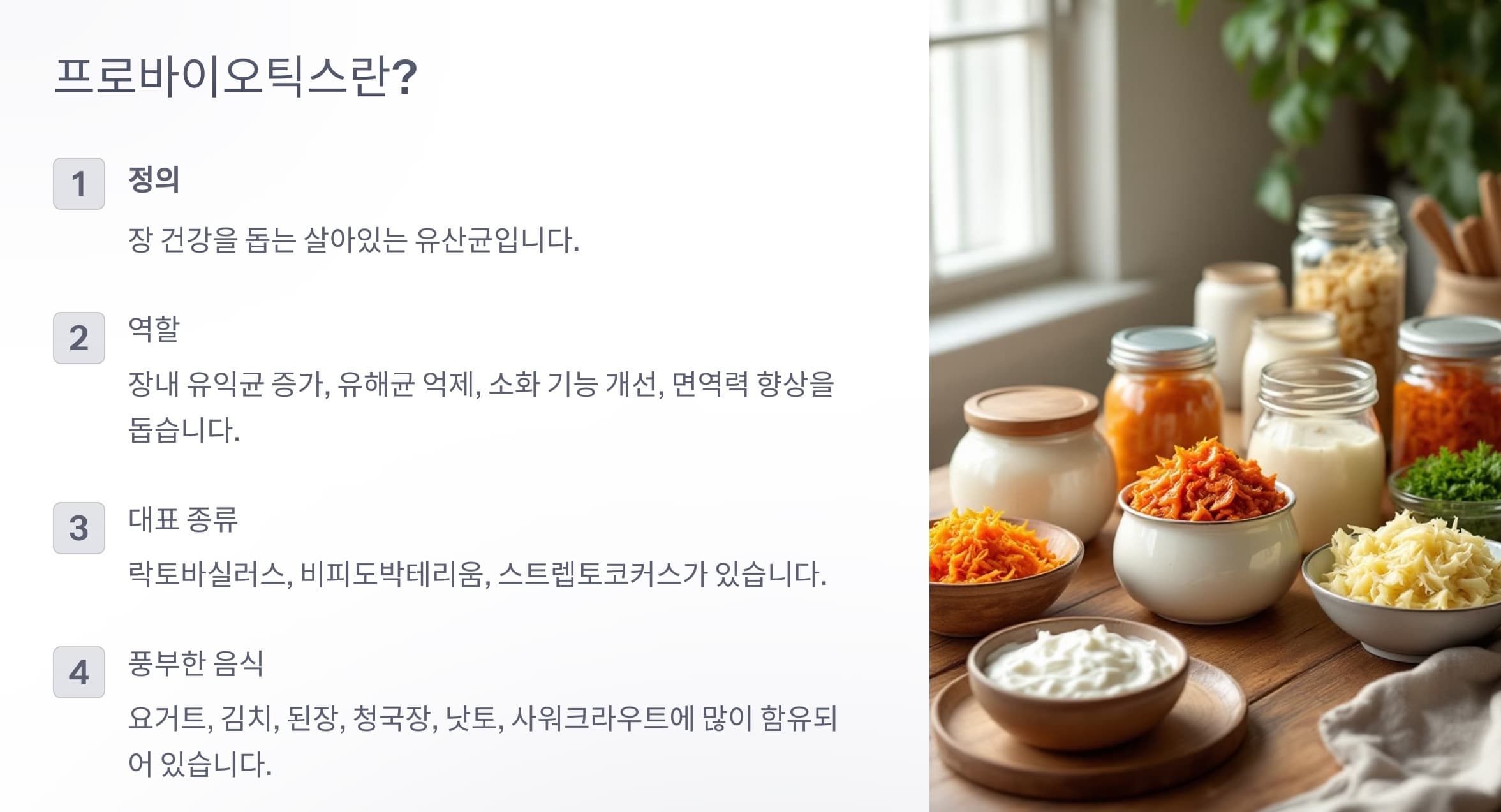 프로바이오틱스의 정의, 역할, 종류, 함유 식품을 요약 정리한 그래픽