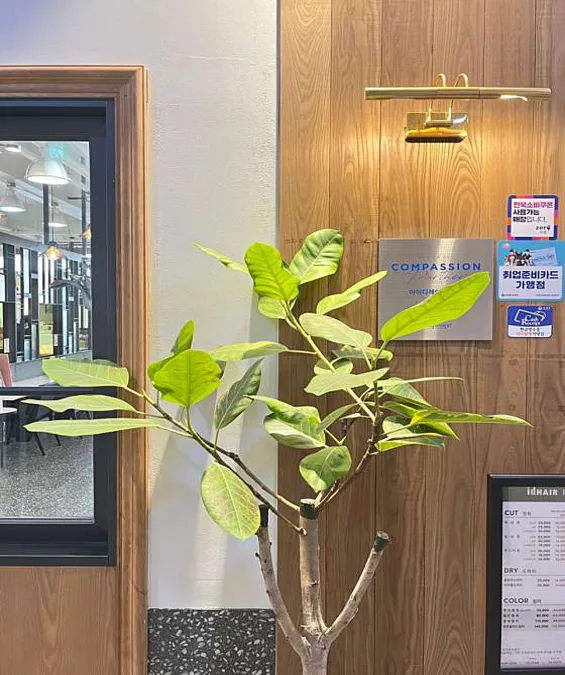 아이디헤어 전주점