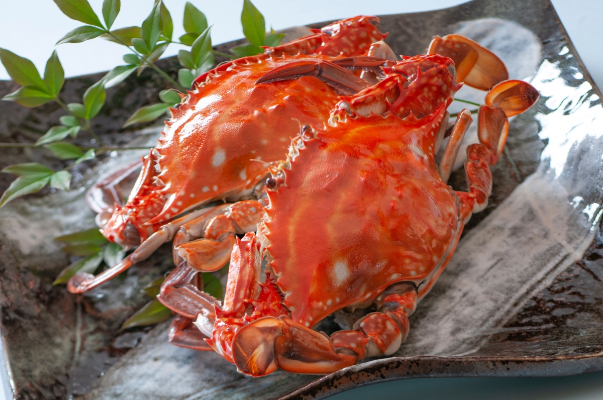 꽃게의 효능과 부작용