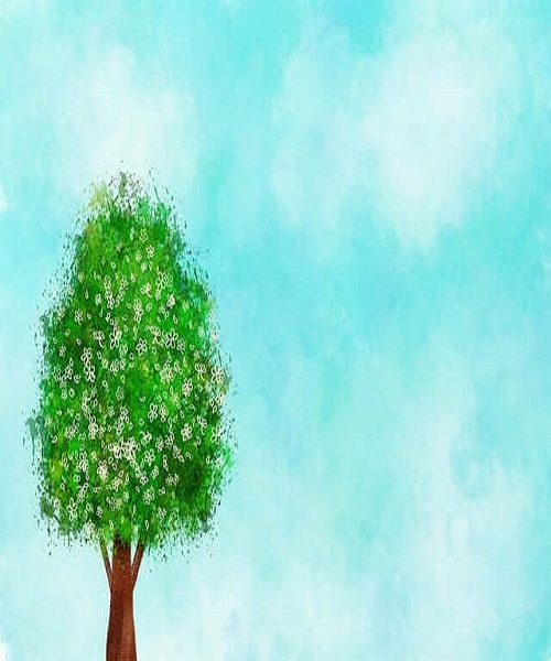 스페인의 친환경 관광