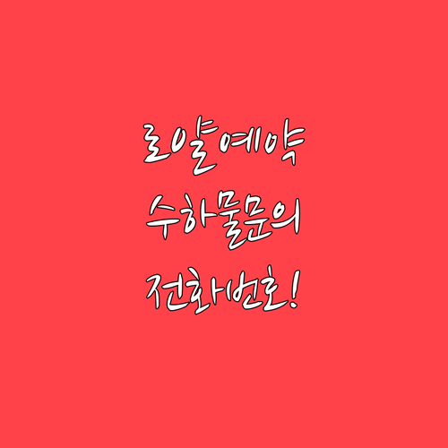 로얄브루나이항공 예약 및 수하물 문의..