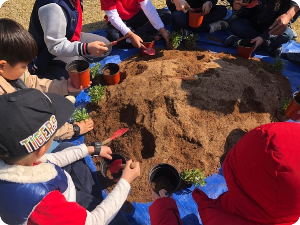 체험활동 모래심기 이미지 출처:하늘수목정원 홈페이지