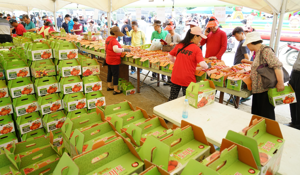 퇴촌 토마토 축제