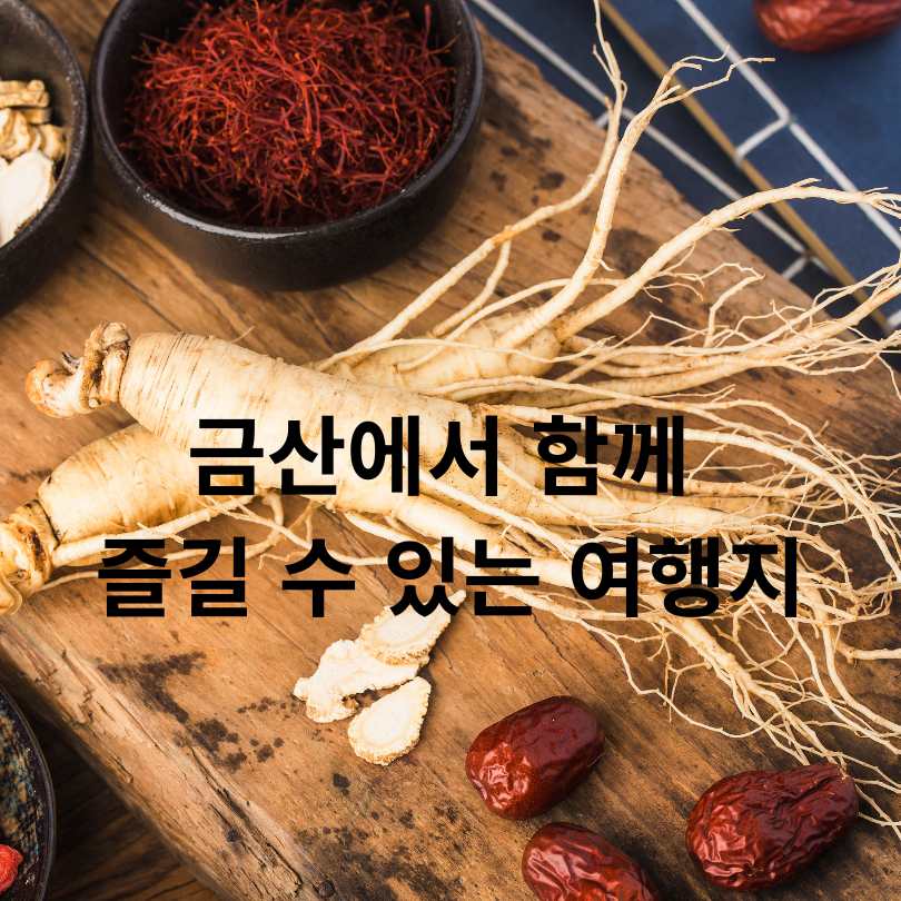 금산인삼축제 2025 