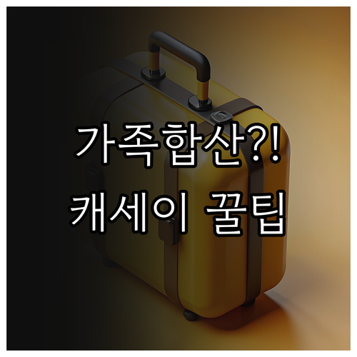 가족 합산 가능 캐세이퍼시픽 수하물 ..