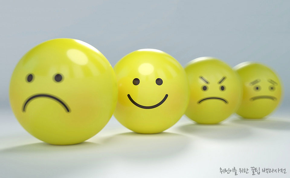 인성검사 테스트 메인 이미지