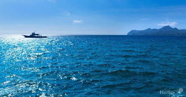 애드센스의 즐거움