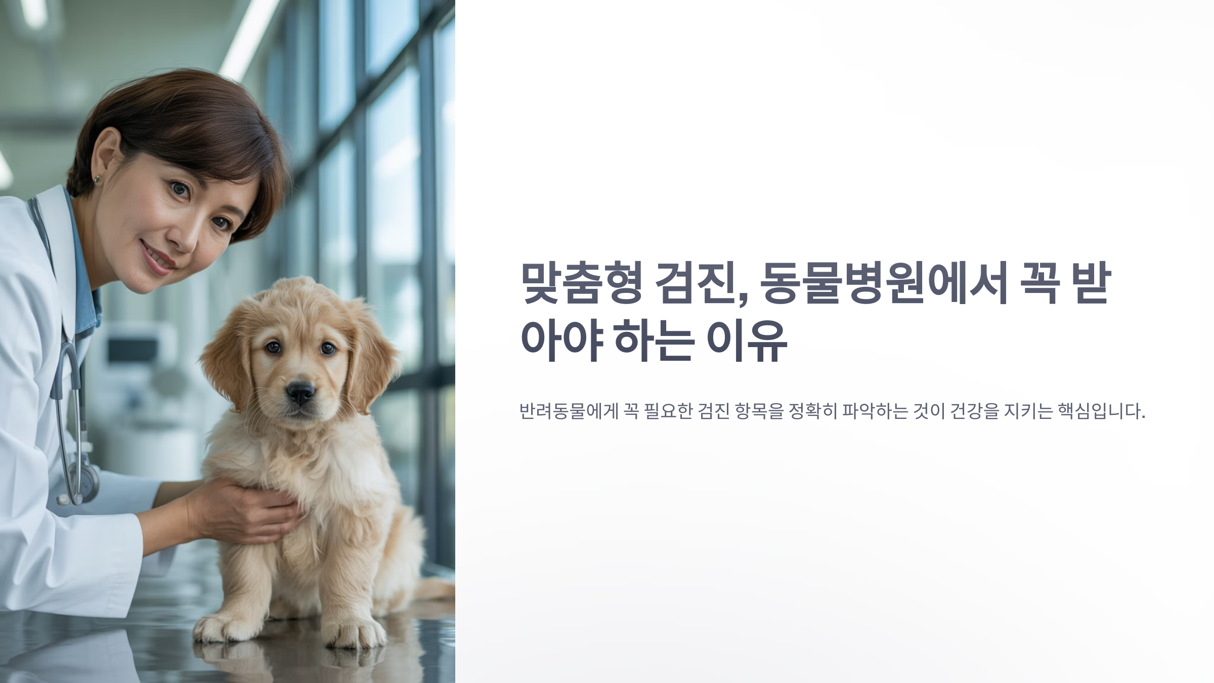 참조-맞춤형-검진,-동물병원-1