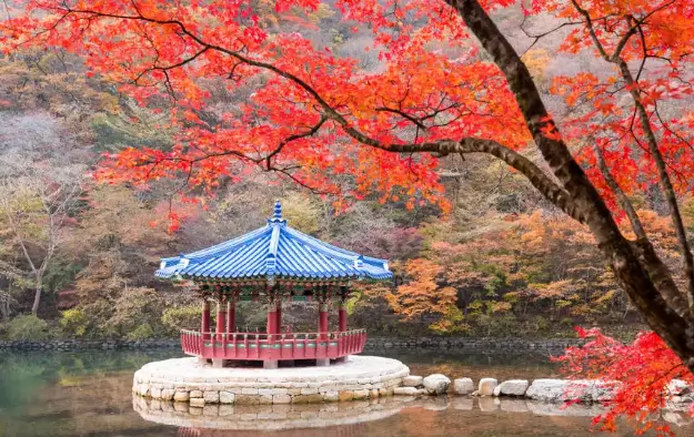 내장산 우화정