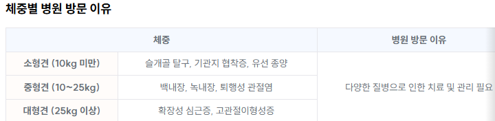 강아지 보험